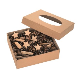 Kieferzapfen, sortiert,2,5-5cm 100g