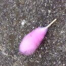 Miniatur Zuckerwatte 6-7cm Pink