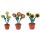 Sonnenblumentopf 3-4cm