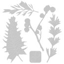 Sizzix Thinlits Die Set 5PK Natural Leaves by Jen Long