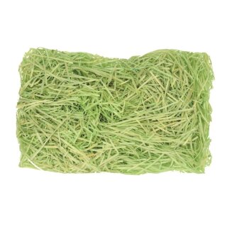 Glorex Ostergras, hellgrün, 50g