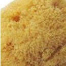 Levantiner-Schwamm 4-5cm für Aquarellmalerei