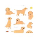 3D-Sticker Labrador (18 Sticker)