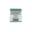 HORADAM® AQUARELL 1/2 Napf Saftgrün