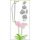 Stanzschablone Orchidee 5x10cm