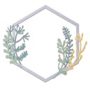 Sizzix Thinlits Die Set 6PK - Botanical Frame by Jen Long