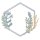 Sizzix Thinlits Die Set 6PK - Botanical Frame by Jen Long
