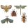 Sizzix Thinlits Die Set 5PK - Funky Insects by Tim Holtz