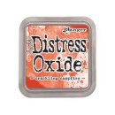 Distress Oxide Pad Crackling Campfire