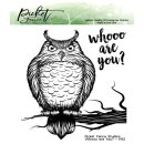 Eule Whoo are you 4-teiel Stanzen & Stempel