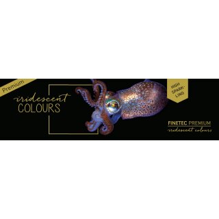 Finetec Premium Perlglanzfarben Box High Sparkling