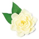 Sizzix Thinlits Die Set 4PK Gardenia by Jennifer Ogborn