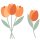 Stanzschablonen Tulpe/n