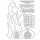 Sizzix Thinlits Die Set 16PK - Ikebana by Pete Hughes