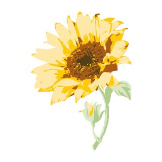 Sizzix Layered Clear Stamps 6PK Sunflower Stem by Olivia Rose