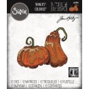 Sizzix Thinlits Die Set 12PK Pumpkin Duo Colorize by Tim Holtz