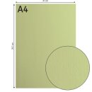 Florence Cardstock smooth 216g Anise 066