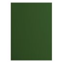 Florence Cardstock smooth 216g Pine 078