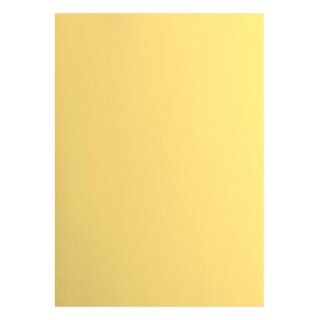 Florence Cardstock smooth 216g Asparagus 004