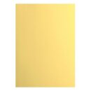 Florence Cardstock smooth 216g Asparagus 004