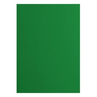 Florence Cardstock smooth 216g Broccoli 077