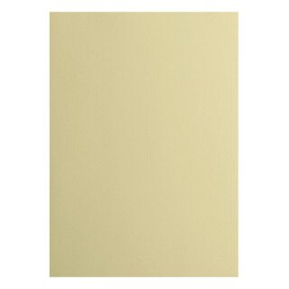 Florence Cardstock smooth 216g Pudding 080
