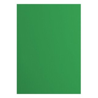 Florence Cardstock smooth 216g Holly 076