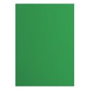 Florence Cardstock smooth 216g Holly 076