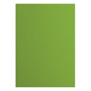 Florence Cardstock smooth 216g Frog 074