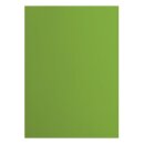 Florence Cardstock smooth 216g Frog 074