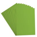 Florence Cardstock smooth 216g Frog 074