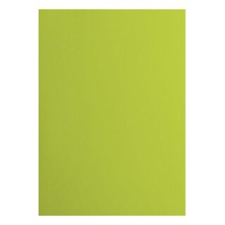Florence Cardstock smooth 216g Lime 068