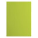 Florence Cardstock smooth 216g Lime 068