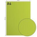 Florence Cardstock smooth 216g Lime 068