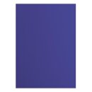 Florence Cardstock smooth 216g Ink 051