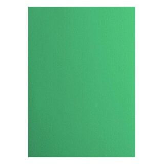 Florence Cardstock smooth 216g Emerald 058
