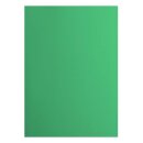 Florence Cardstock smooth 216g Emerald 058