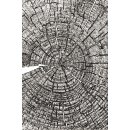 Sizzix 3-D Texture Fades Embossing Folder - Tree Rings by...