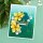 Spellbinders Four Petal Floral 3D Embossing Folder from the Four Petal Collection