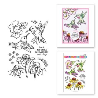 Spellbinders Hummingbird Day Clear Stamp Set from the Stampendous Spring Collection