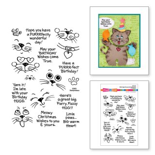 Spellbinders Kitty Hugs Faces and Sentiments Clear Stamps