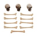 Tim Holtz Idea-Ology Halloween Skulls + Bones