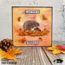 Clear-Stamp Hedgehog Hugs Stamp & Die Set