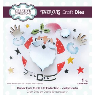 Cathie Shuttleworth Paper Cuts Cut & Lift Snowflake Sparkle