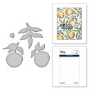 Spellbinders SKETCHED CITRUS ETCHED DIES FOR COORDINATING STAMP SET BY SIMON HURLEY