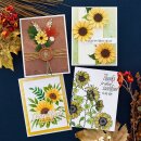 Spellbinders Sunflower Serenade Etched Dies