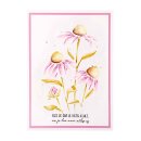 Echinacea Essentials Clear Stamps93x136x3mm
