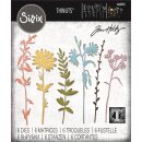Sizzix Thinlits Die Set 6PK Vault Wildflowers  by Tim Holtz