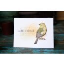 Sizzix Thinlits Die Set 8PK Vault Lovebirds by Tim Holtz