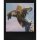 Polaroid Color Go Film Double Pack 16 Fotos - Black Frame Edition